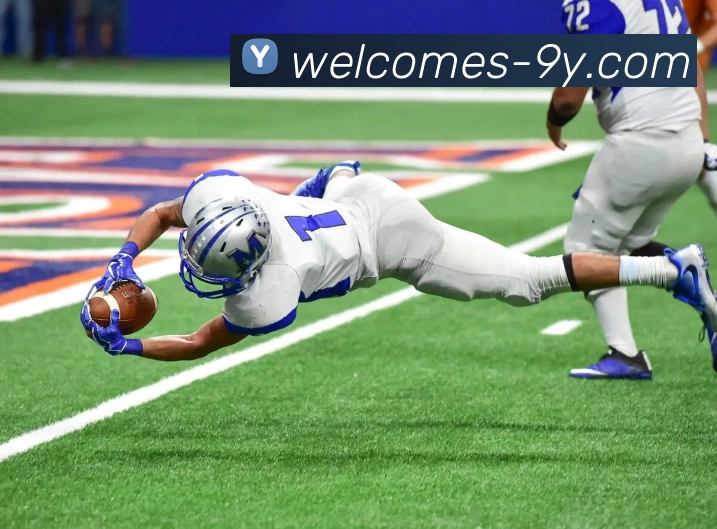 九游官网平台生态图